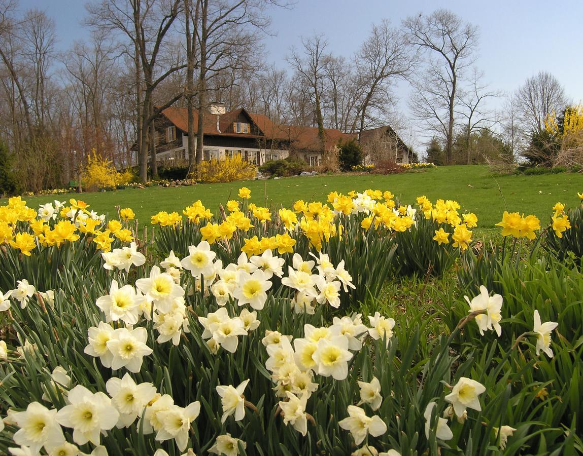 Swiss Woods Bed And Breakfast Lititz Kültér fotó